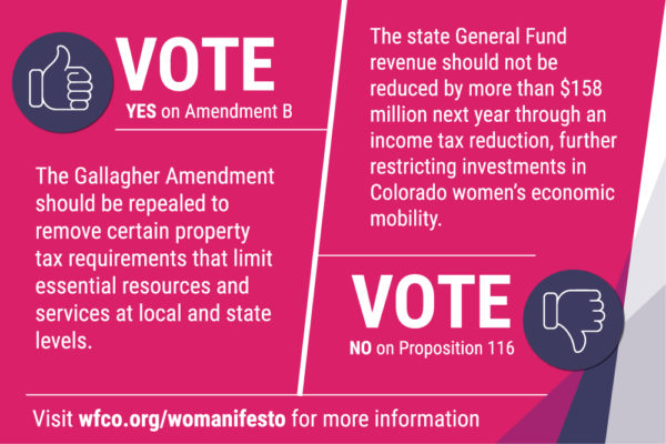 Vote Yes on Amendment B and vote no on Proposition 116