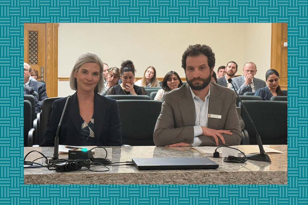 Louise Myrland with WFCO and Joshua Mantell with Bell Policy Center testify at the Capitol.